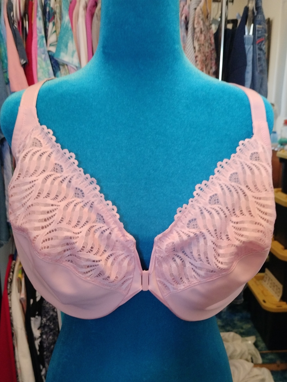 Soft Lace Underwire Bra in Light Blush